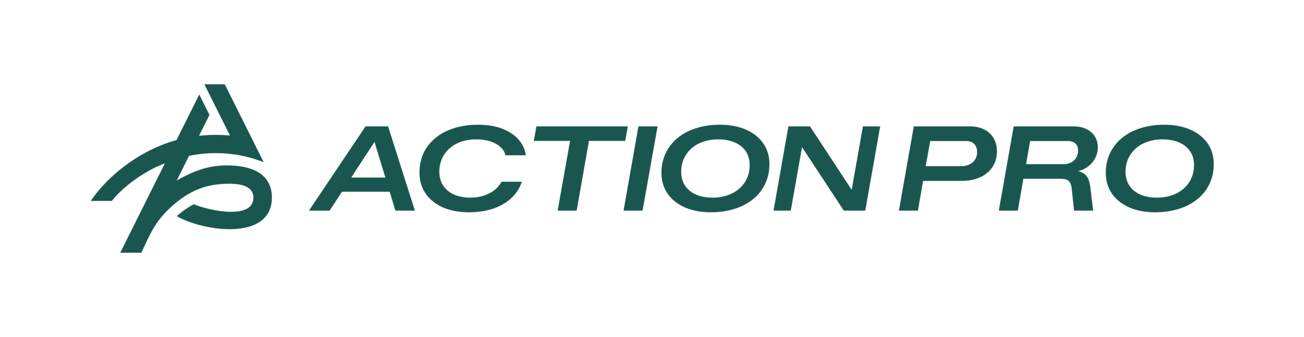 Logo ACTION PRO