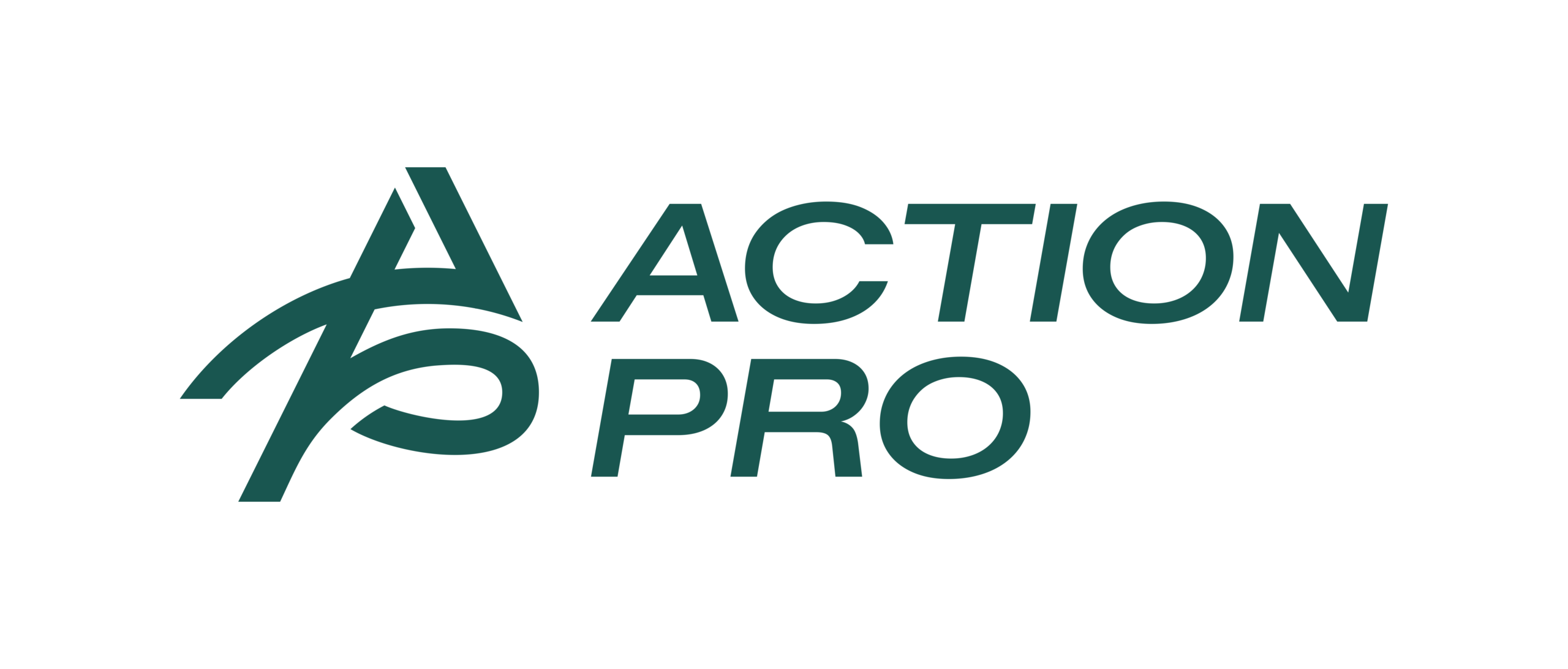 Action Pro