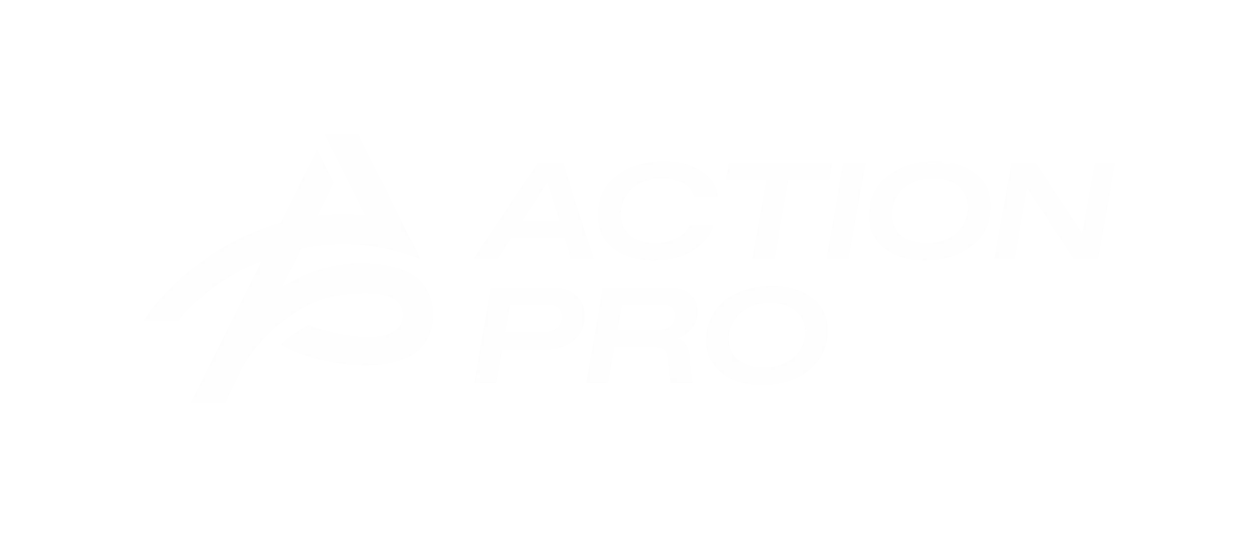 Action Pro